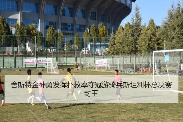 she-si-te-jin-shen-yong-fa-hui-pu-jiu-lv-duo-guan-you-qi-bing-si-tan-li-bei-zong-jue-sai-feng-wang-3-794.jpg