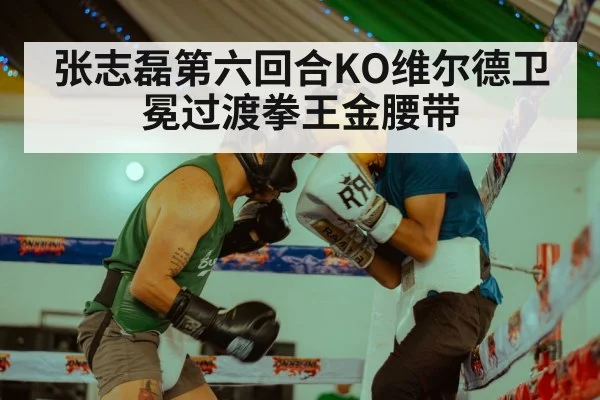 张志磊第六回合KO维尔德卫冕过渡拳王金腰带
